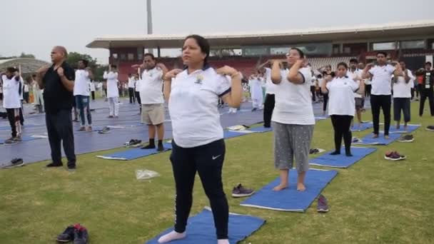 Nueva Delhi India Junio 2023 Sesión Ejercicios Yoga Grupo Para — Vídeos de Stock
