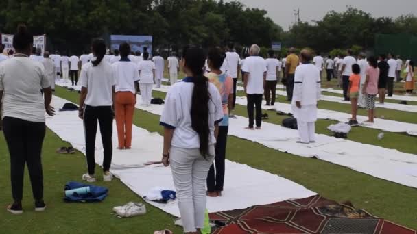 New Delhi India June 2023 Group Yoga Exercise Session People — Stock Video