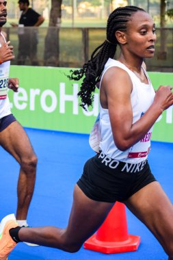 Yeni Delhi, Hindistan - 16 Ekim 2022 - Bitmek üzere olan maraton katılımcılarının bitiş çizgisini geçmek üzere olan Delhi Yarı Maratonu 2022