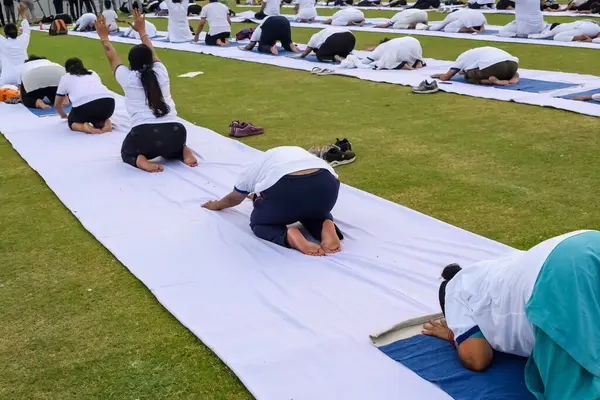 Nueva Delhi India Junio 2023 Sesión Ejercicios Yoga Grupo Para —  Fotos de Stock