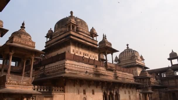 オーチャー宮殿の美しい景色 ラジャ マハル チャタール寺院の美しい景色は オーチャー マダヤ プラデシュ マダヤ プラデシュ インドの考古学的遺跡のハジャンギール — ストック動画