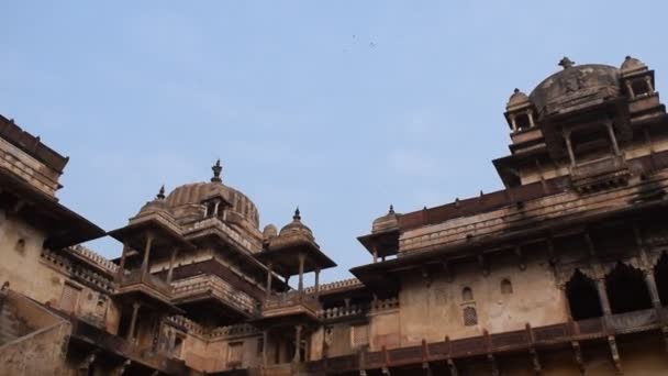 Krásný Výhled Orchha Palace Fort Raja Mahal Chaturbhuj Chrám Jahangir — Stock video