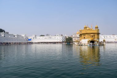 Amritsar, Punjab, Hindistan 'daki Altın Tapınağın (Harmandir Sahib) güzel manzarası, ünlü Hintli sih simgesi, Altın Tapınak, Amritsar, Hindistan' daki Sihlerin ana mabedi