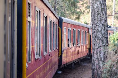 Shimla, Himachal Pradesh, Hindistan - 14 Ağustos 2023 - Oyuncak tren Kalka-Shimla rotası, tepe, oyuncak tren Kalka 'dan Shimla' ya yeşil doğal orman arasında hareket