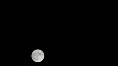 Moon Timelapse, Stock zamanaşımı: Dolunay karanlık gökyüzünde yükseliyor, gece vakti. Dolunay zamanı, gece karanlığında karanlık gökyüzünde ay ışığıyla birlikte kaybolur. Yüksek kaliteli beleş video kaydı veya zaman ayarlı