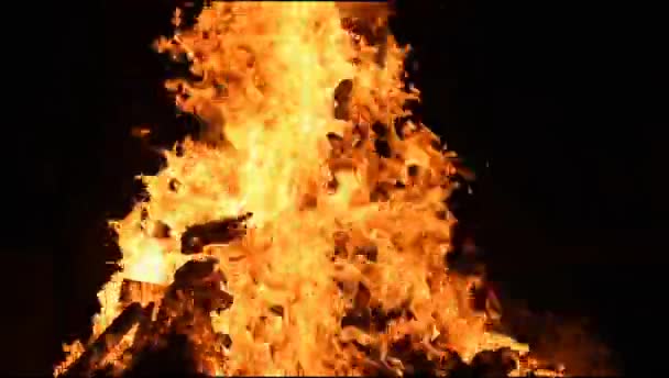 Feuerflammen Auf Schwarzem Hintergrund Flammenflamme Textur Hintergrund Wunderschön Das Feuer — Stockvideo
