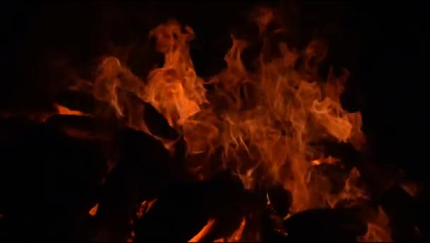 Огненное Пламя Черном Фоне Пламя Пламени Текстуры Фона Красиво Огонь — стоковое видео