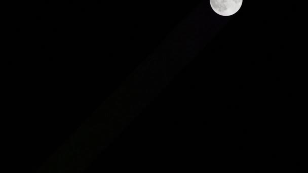 Moon Timelapse Stock Time Lapse Full Moon Rise Dark Nature — 비디오