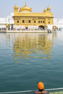 Amritsar, Hindistan - 26 Şubat 2023 - Amritsar, Punjab, Hindistan 'daki Altın Tapınak' ta (Harmandir Sahib) sarovarda kutsal dalış yapan tanımlanamayan dindarlar,