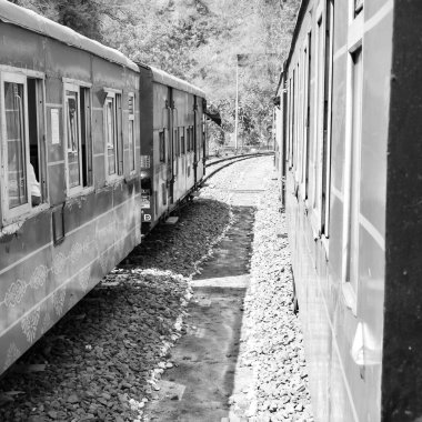 Shimla, Himachal Pradesh, Hindistan - 14 Ağustos 2023 - Oyuncak tren Kalka-Shimla rotası, tepe, oyuncak tren Kalka 'dan Shimla' ya yeşil doğal orman arasında hareket