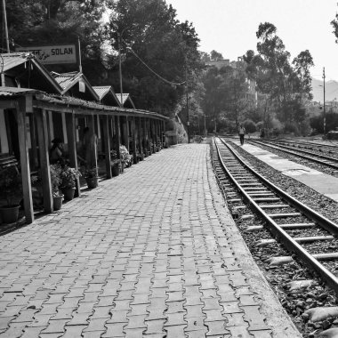 Shimla, Himachal Pradesh, Hindistan - 14 Ağustos 2023 - Oyuncak tren Kalka-Shimla rotası, tepe, oyuncak tren Kalka 'dan Shimla' ya yeşil doğal orman arasında hareket