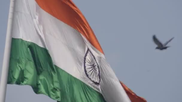 Індійський Прапор Летить Високо Коннот Плейс Гордістю Блакитного Неба Індійський — стокове відео