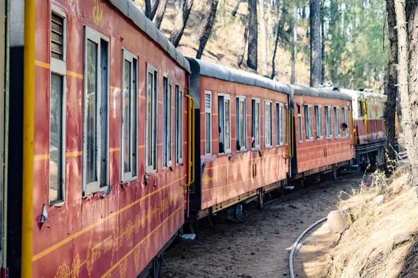 Shimla, Himachal Pradesh, Hindistan - 14 Ağustos 2023 - Oyuncak tren Kalka-Shimla rotası, tepe, oyuncak tren Kalka 'dan Shimla' ya yeşil doğal orman arasında hareket