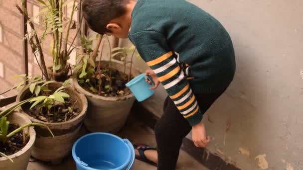 かわいい5歳のアジアの小さな男の子は 家のバルコニーにあるポットで植物に水をやっています 植物に散水中に母親の性質のための甘い小さな男の子の愛 子供の植え付け — ストック動画