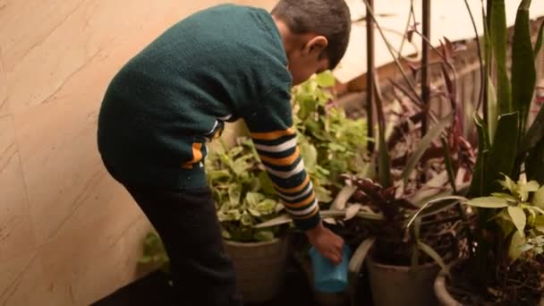 Roztomilý Letý Asijský Chlapeček Zalévá Rostlinu Květináčích Umístěných Balkóně Domu — Stock video