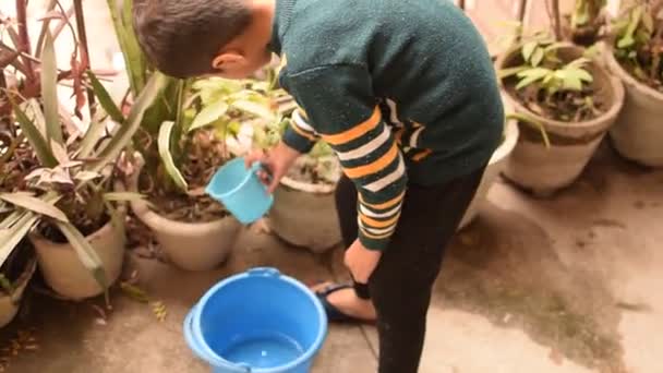 かわいい5歳のアジアの小さな男の子は 家のバルコニーにあるポットで植物に水をやっています 植物に散水中に母親の性質のための甘い小さな男の子の愛 子供の植え付け — ストック動画