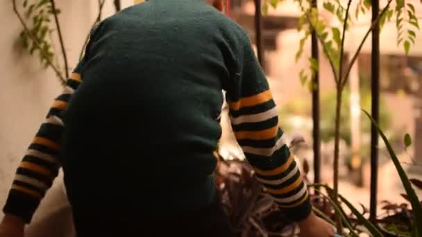 Річний Азійський Хлопчик Поливає Рослину Горщиках Розташованих Балконі Будинку Любовь — стокове відео
