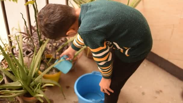 Roztomilý Letý Asijský Chlapeček Zalévá Rostlinu Květináčích Umístěných Balkóně Domu — Stock video