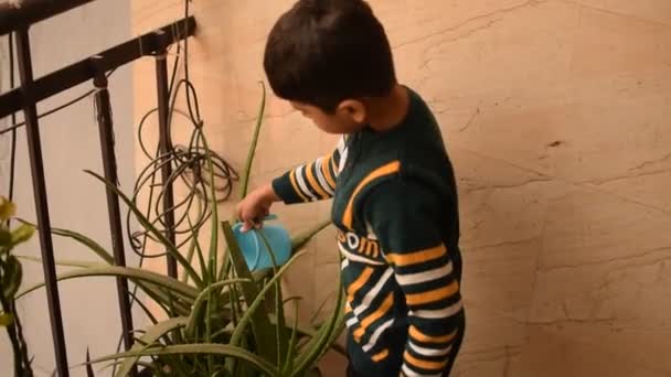 Drăguț Băiat Asiatic Ani Udă Planta Ghivece Situate Balconul Casei — Videoclip de stoc