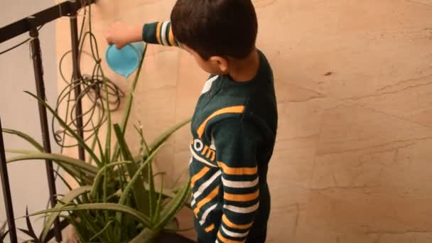 可爱的5岁的亚洲小男孩正在屋外的花盆里浇灌着植物 可爱的小男孩在浇灌植物的过程中对大自然的爱 小孩在种植 — 图库视频影像