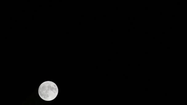 Moon Timelapse Stock Aika Raukeaa Täysikuu Nousu Pimeässä Luonnossa Taivas — kuvapankkivideo