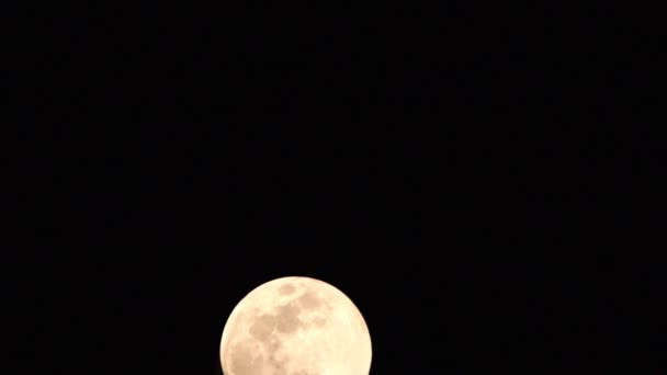 Lune Timelapse Stock Time Lapse Pleine Lune Lever Dans Nature — Video