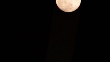 Moon Timelapse, Stock zamanaşımı: Dolunay karanlık gökyüzünde yükseliyor, gece vakti. Dolunay zamanı, gece karanlığında karanlık gökyüzünde ay ışığıyla birlikte kaybolur. Yüksek kaliteli beleş video kaydı veya zaman ayarlı