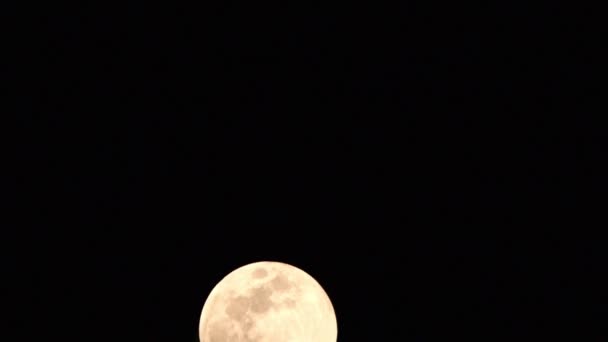 Luna Timelapse Stock Time Lapse Full Moon Rise Dark Nature — Vídeo de stock