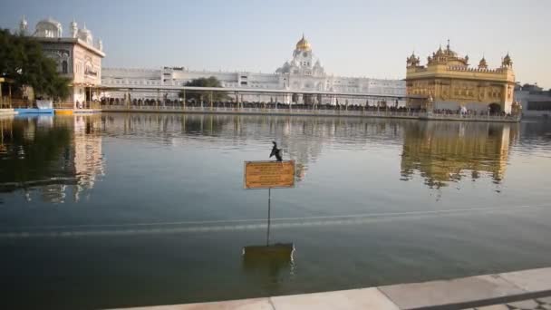 金殿的美丽景色 印度旁遮普邦Amritsar的Harmandir Sahib 印度著名锡克教徒的地标 印度Amritsar锡克教徒的主要圣地金殿 — 图库视频影像