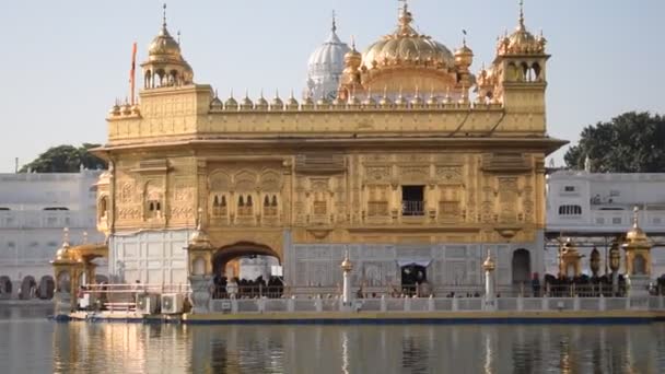 Hermosa Vista Del Templo Dorado Harmandir Sahib Amritsar Punjab India — Vídeos de Stock