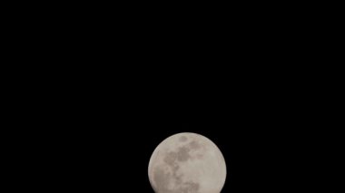 Moon Timelapse, Stock zamanaşımı: Dolunay karanlık gökyüzünde yükseliyor, gece vakti. Dolunay zamanı, gece karanlığında karanlık gökyüzünde ay ışığıyla birlikte kaybolur. Yüksek kaliteli beleş video kaydı veya zaman ayarlı