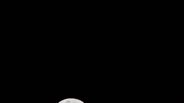 Księżyc Timelapse Stock Time Lapse Pełnia Księżyca Wschodzi Ciemnej Naturze — Wideo stockowe