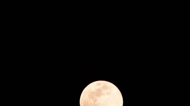 Luna Timelapse Stock Time Lapse Full Moon Rise Dark Nature — Vídeos de Stock