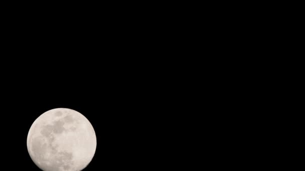 Moon Timelapse Stock Zamanaşımı Dolunay Karanlık Gökyüzünde Yükseliyor Gece Vakti — Stok video