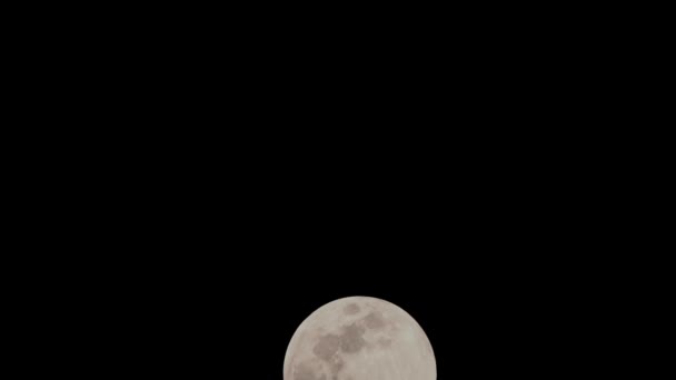 Время Луны Время Запаса Восход Полной Луны Темном Небе Ночное — стоковое видео