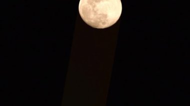 Moon Timelapse, Stock zamanaşımı: Dolunay karanlık gökyüzünde yükseliyor, gece vakti. Dolunay zamanı, gece karanlığında karanlık gökyüzünde ay ışığıyla birlikte kaybolur. Yüksek kaliteli beleş video kaydı veya zaman ayarlı