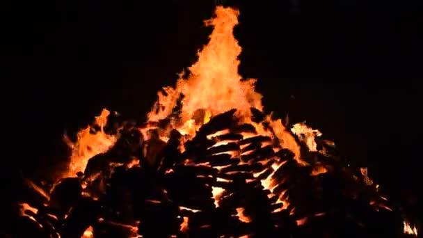 Oheň Plameny Černém Pozadí Požár Oheň Plamen Textury Pozadí Krásně — Stock video