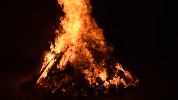 黒の背景に火の炎 炎の炎のテクスチャの背景 美しく 火が燃えています 木や牛の糞たき火で火の炎 — ストック動画