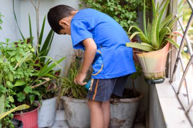 Şirin 5 yaşındaki Asyalı çocuk, ev balkonundaki saksıları suluyor. Bitkileri sularken küçük tatlı bir çocuğun doğaya olan sevgisi.