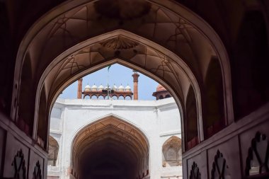 Lal Qila 'nın mimari detayları - Eski Delhi, Hindistan' daki Kızıl Kale, Delhi 'deki ünlü Hint şehirleri