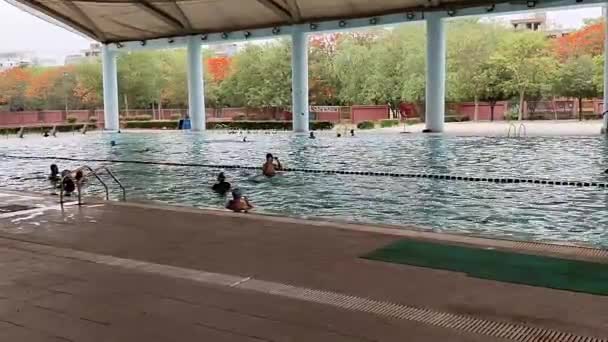 2024年5月1日 印度新德里 一组身份不明的人白天在大游泳池进行游泳教练训练 另一组人在体育场的大游泳池里游泳 — 图库视频影像