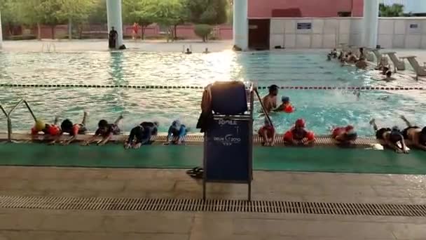 New Delhi India May 2024 Group Unidentified People Performing Swimming — Stock Video