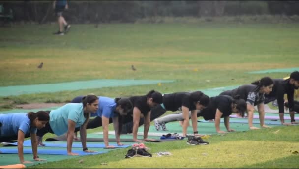 New Delhi Inde Avril 2024 Séance Exercices Yoga Groupe Pour — Video