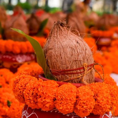 Hindistan cevizli kalaş ve çiçek desenli mango yaprağı içinde kutsal su bulunan toprak kapları. Jagannath Tapınağı sırasında Hindu puja için Kalaş Mangal Kalash Yatra, ön manzara, yakın çekim