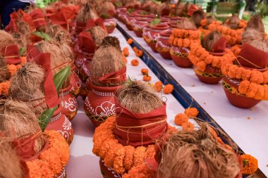 Kalash with coconut and mango leaf with floral decoration earthen pots containing sacred water. Kalash for hindu puja during Jagannath Temple Mangal Kalash Yatra, front view, closeup clipart