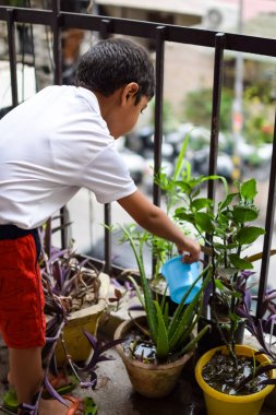 Şirin 5 yaşındaki Asyalı çocuk, ev balkonundaki saksıları suluyor. Bitkileri sularken küçük tatlı bir çocuğun doğaya olan sevgisi.