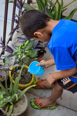 Şirin 5 yaşındaki Asyalı çocuk, ev balkonundaki saksıları suluyor. Bitkileri sularken küçük tatlı bir çocuğun doğaya olan sevgisi.