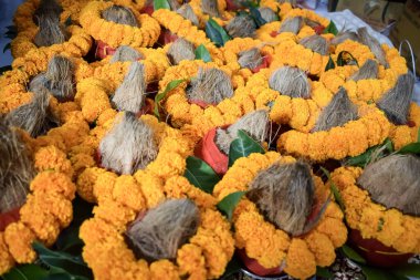 Hindistan cevizli kalaş ve çiçek desenli mango yaprağı içinde kutsal su bulunan toprak kapları. Jagannath Tapınağı sırasında Hindu puja için Kalaş Mangal Kalash Yatra, ön manzara, yakın çekim
