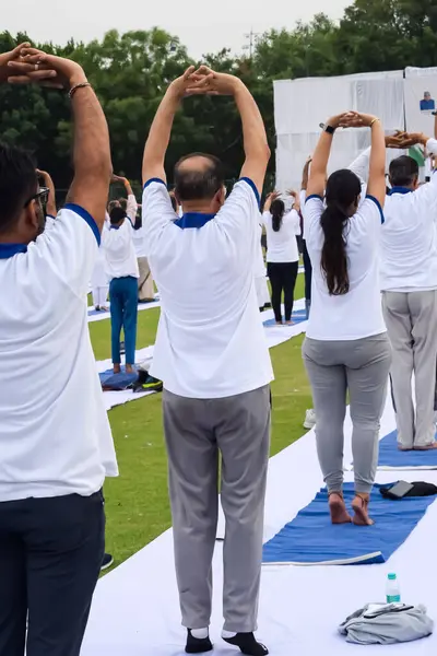 Uluslararası Yoga Günü 'nde Delhi' deki kriket stadyumunda farklı yaş gruplarından insanlar için grup Yoga egzersiz oturumu.