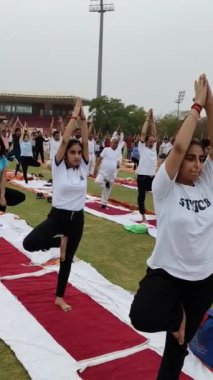 Yeni Delhi, Hindistan, 21 Haziran 2024 - Uluslararası Yoga Günü 'nde Delhi' deki Yamuna Spor Kompleksi 'nde grup Yoga egzersiz oturumu, kriket stadyumunda yoga sınıfına katılan büyük bir grup yetişkin